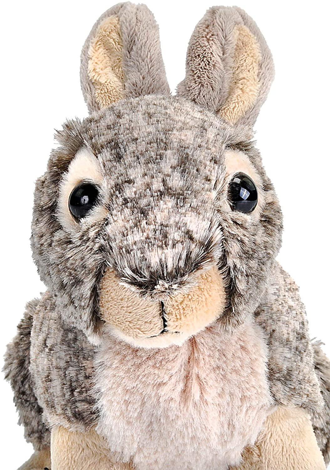 Wild Republic Bunny Plush, Stuffed Animal, Plush Toy, Gifts for Kids,  Cuddlekins 8 Inches : Toys & Games 