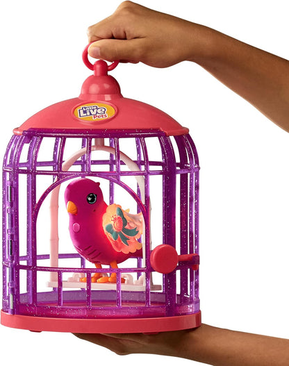 Little Live Pets - Lil' Bird & Bird Cage Tiara Twinkles, New Light Up Wings with 20 + Sounds, and Reacts to Touch