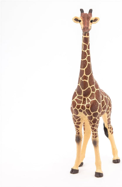 Papo Giraffe Male Figure - Collectible for Children - Suitable for Boys and Girls - From 3 years old