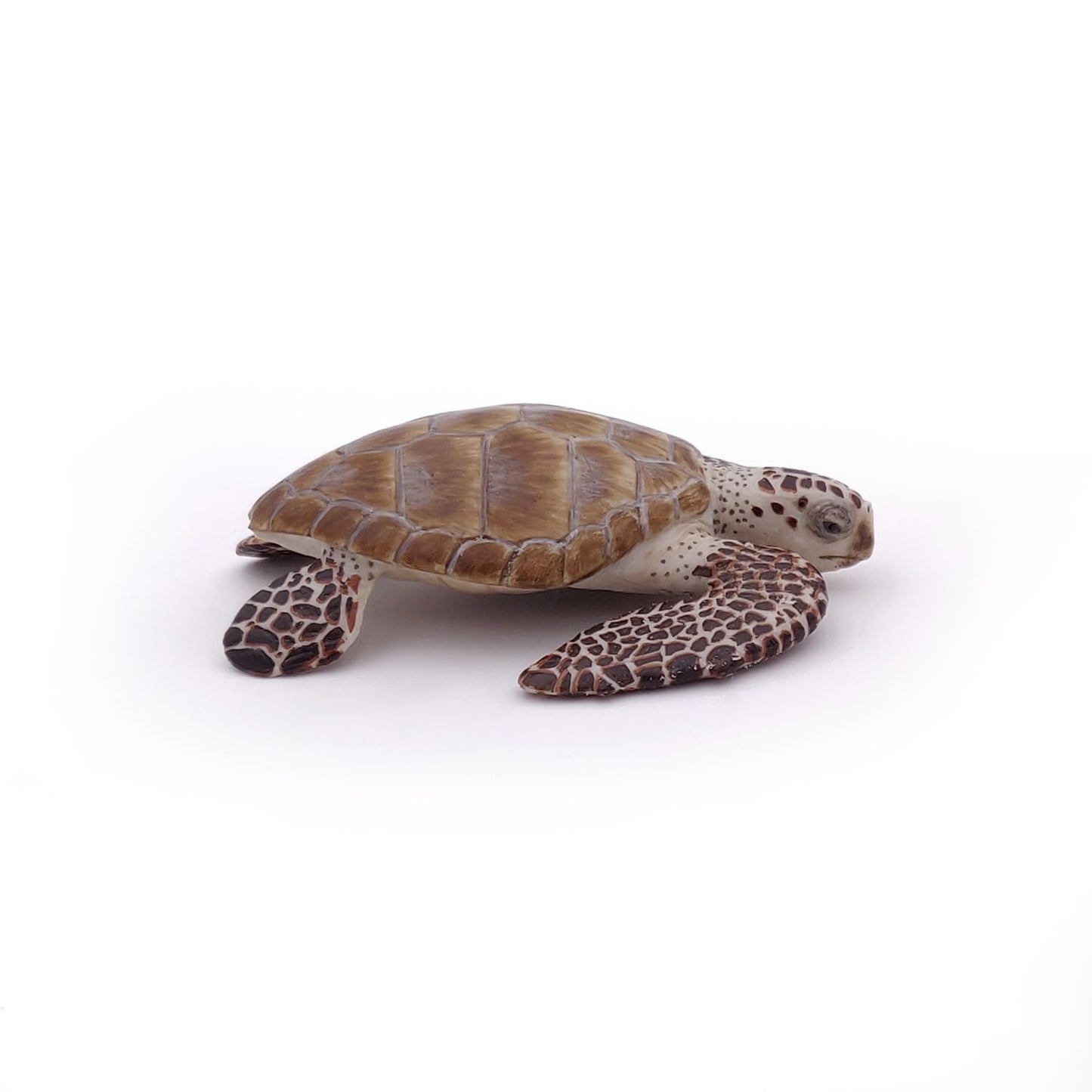 Papo Marine Life Loggerhead Turtle Figure - Collectible for Children - Suitable for Boys and Girls - From 3 years old