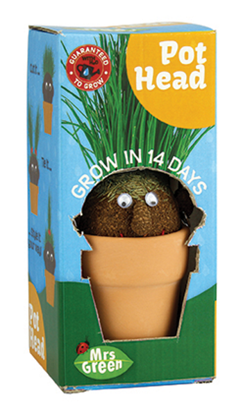 Mrs Green Magic Pot Head Plant – Hair Grass Plants Pot Growing Seeds Kids Gardening Fun