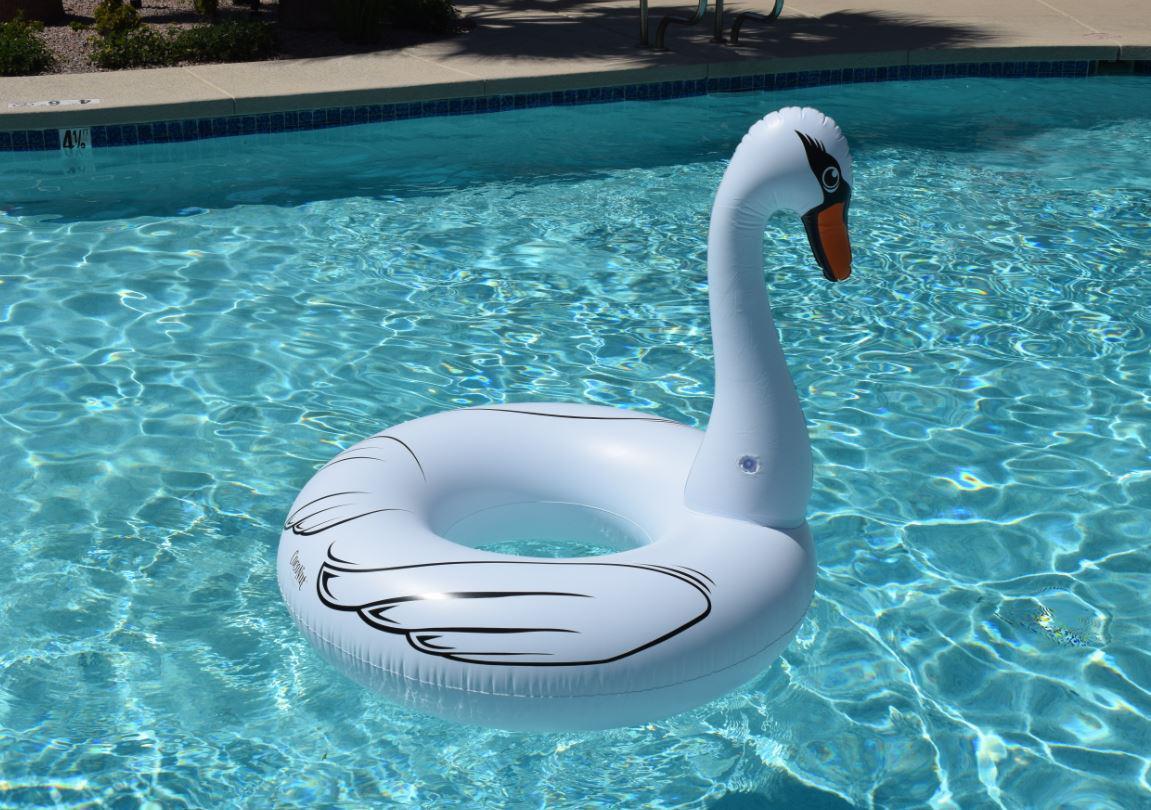 Inflatable swan pool store float