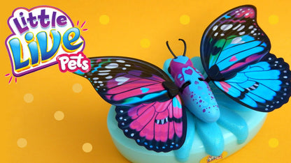 Little Live Pets Lil Butterfly Pretend Play Toy - Styles May Vary