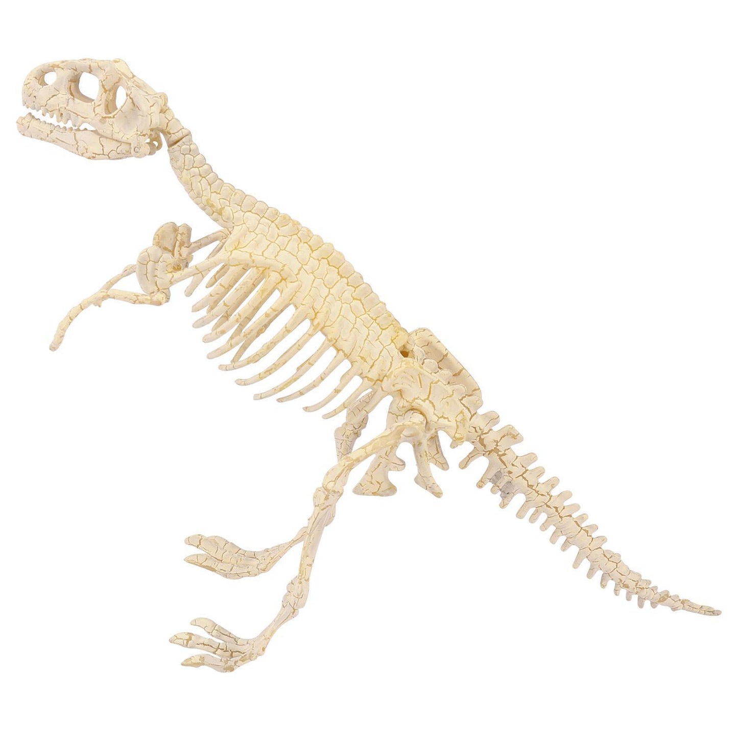 Heebie Jeebies Tyrannosaurus Palaeontology Kit